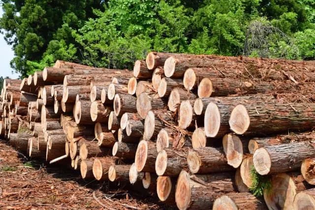 Rising New‑Home Prices in Japan and Open‑Book Contracts: Risks and Responses for Investors